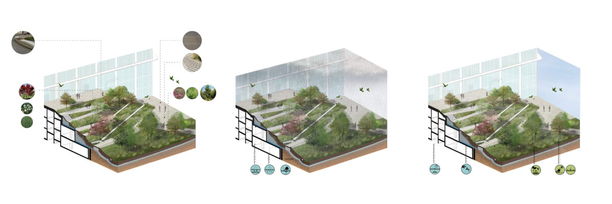 H5 NRW Landesregierung in Duesseldorf outtakes of layered landscape terraces illustrating biodiversity and rainwater management functions