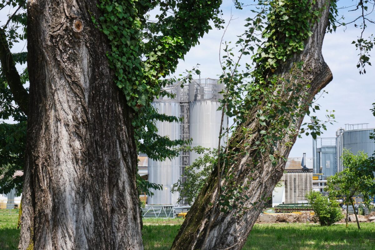 When landscape becomes a key element of industrial sites – Vibram production plants (Albizzate), Italy